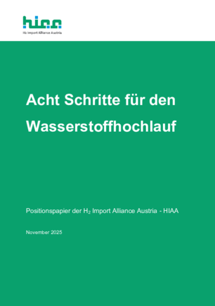 2025_HIAA_8_Schritte_fuer_den_Wasserstoffhochlauf